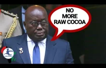 Ghana ogranicza eksport nasion kakaowca do Europy. Sami chcą produkować czeko...