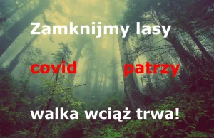 Apel o wprowadzenie zakazu wstępu do lasów - walka z covid-19 wciąż trwa!