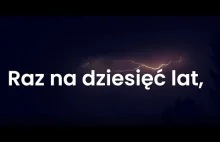 Mocny spot o polskich lasach z filmów z Internetu. "Czemu serce boli?"(3 minuty)