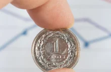 Analitycy: W tym tygodniu złoty najsłabszą walutą świata.