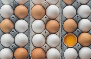 Ile można jeść jajek – dziennie i tygodniowo? Rozmowa z profesorem Trziszką