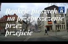 Reakcje pieszych na przepuszczenie przez przejście dla pieszych