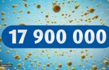 Kumulacja w Lotto rozbita. Wygrana padła w Pruszczu
