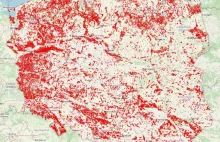 Interaktywna mapa planowanych wycinek w Polsce. Sprawdź swoją okolicę.