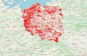 Afera o mapę wycinki lasów. LP: "To bardzo nierzetelny przekaz"