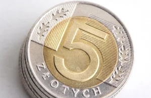 Złoty coraz słabszy. Grozi nam euro za 5 zł?