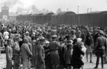 Międzynarodowa pomoc ofiarom Holokaustu