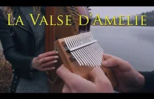 Yann Tiersen - La Valse d'Amelie (Bandura and Kalimba Cover)