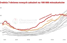 Konfederacja manipuluje danymi i stara się okłamać opinię publiczną