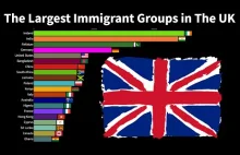 Największe grupy imigrantów w Wielkiej Brytanii