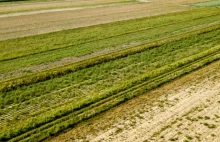 Irlandzcy rolnicy chcą kupić warte 8,87 mln euro gospodarstwo w Polsce