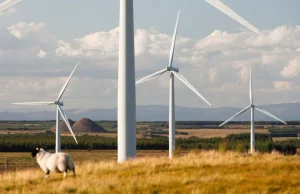 Źródła odnawialne zaspokoiły 97% zapotrzebowania Szkocji na energię el. w 2020r.