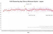 Kwiaty wiśni w Tokio zakwitły najwcześniej od 1200 lat!