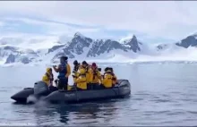 Pingwin ratuje się przed orkami