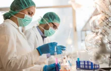 Laboratorium w Brnie odkrywa nową mutację koronawirusa