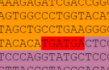 "Kod źródłowy" szczepionek mRNA Pfizera i Moderny