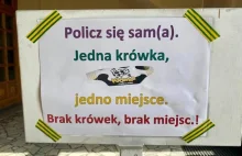 Na Śląsku w kościele wiernych będzie liczył krówkomat. Jedna krówka dla każdego!