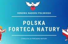 Koncept nowego ustroju porządkowego