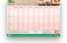 Kalendarz rujowy świń 2021/2022