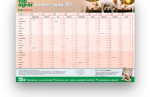 Kalendarz rujowy świń 2021/2022