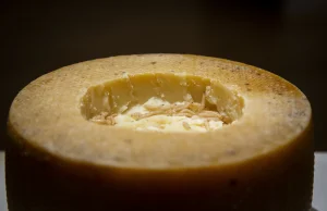 Casu marzu, najniebezpieczniejszy ser na świecie.