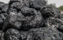 Greenpeace storpeduje wydobycie węgla z nowego złoża na Lubelszczyźnie?...