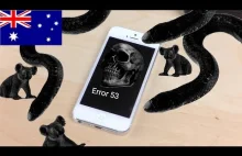 Apple ukarane w Astralii za celowe niszczenie telefonów klientów [Error 53]