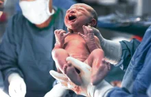 W Iraku urodził się chłopiec z trzema penisami