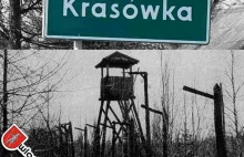 Historia: Obozy NKWD dla żołnierzy AK w Krasówce i Kulczynie /wideo/