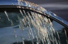 Ways You Can Use To Scrub-Off The Bird Poop From Your Reliable Luxury Car