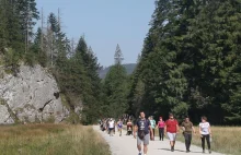 Co z obostrzeniami w wakacje? Rzecznik rządu zabrał głos