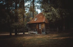 Marzysz latami o własnym domu? Zostań leśnikiem.