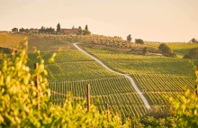 CHIANTI – gotowy plan na dzień pełen wina i kuchni w Toskanii