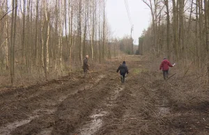 Wycięto las na ich działce. Nikt nie pytał wcześniej o zgodę