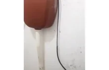 Spłuczka w brazylijskiej toalecie