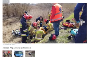 Crossem skakał przez drogę. W locie potrącił go dostawczak [gmina Radzymin