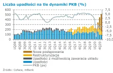 Nowy rekord upadłości w Polsce!