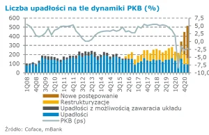 Nowy rekord upadłości w Polsce!