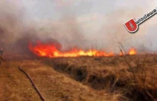 112: Wielki pożar 35 hektarów lasu samolot gaśniczy w akcji