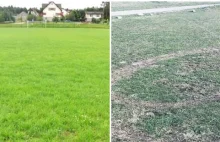 Ktoś quadem zniszczył boisko. Jest nagroda za wskazanie sprawcy