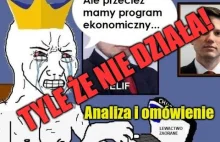 Konfa ma PROGRAM GOSPODARCZY! analiza i ocena