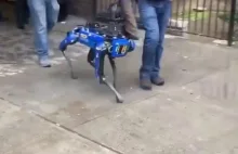 Nowojorska policja wyprowadza swojego robota na spacer