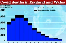 Prawie 1/4 ofiar skwalifikowanych jako Covid19 w UK nie umarla z powodu wirusa