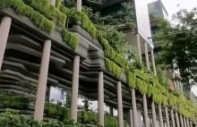 Dżungla w mieście Singapur
