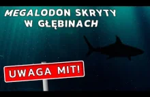 Znamy zaledwie 3% oceanów – UWAGA MIT #3