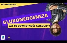 #15 GLUKONEOGENEZA + porównanie z GLIKOLIZA