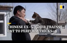 Chiński kot bojowy