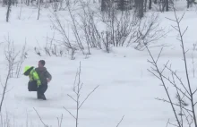 Dostrzeżenie i uratowanie prawie martwego bielika na Alasce