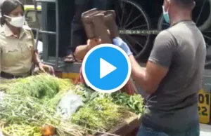 Policja covidowa bije uliczną sprzedawczynię warzyw