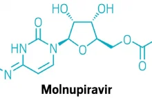 Molnupiravir w 100% redukował koronawirusa. Obiecujące wyniki testów...